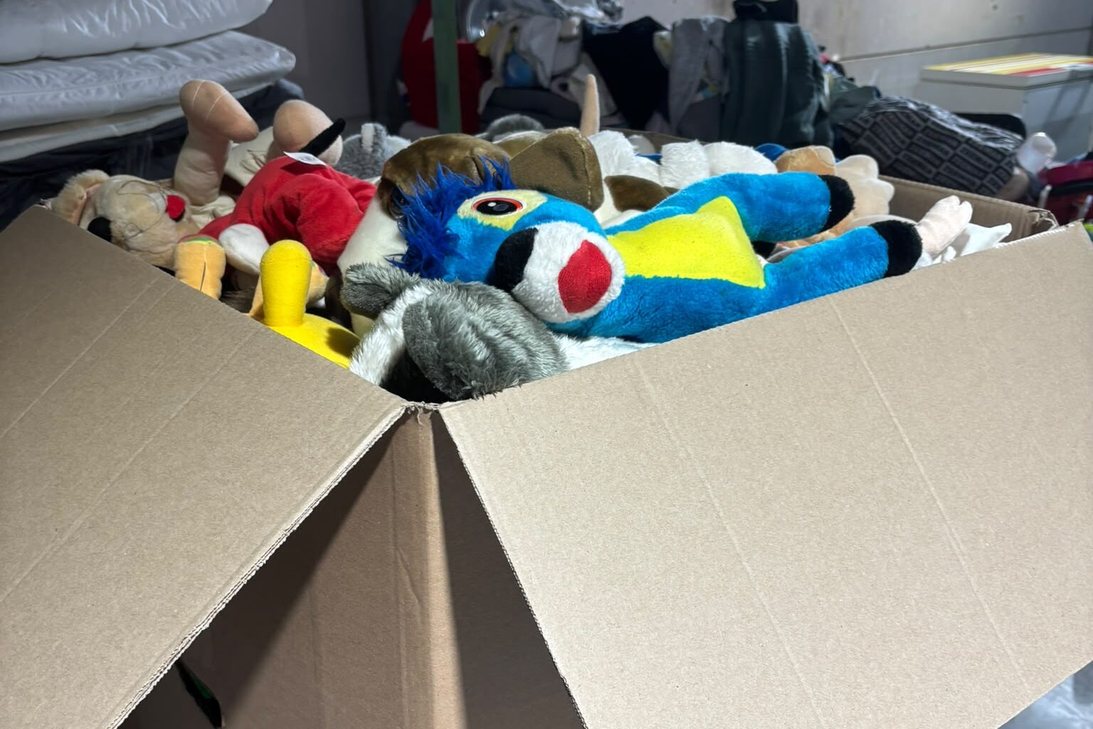 Preparation and packaging of boxes of stuffed toys intended for children from families affected by flooding, as part of our solidarity and humanitarian support efforts.